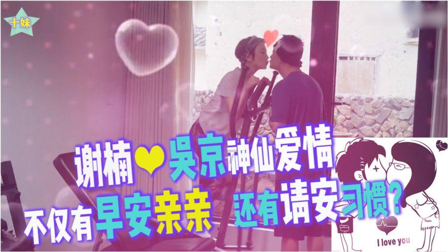 拯救红松鼠